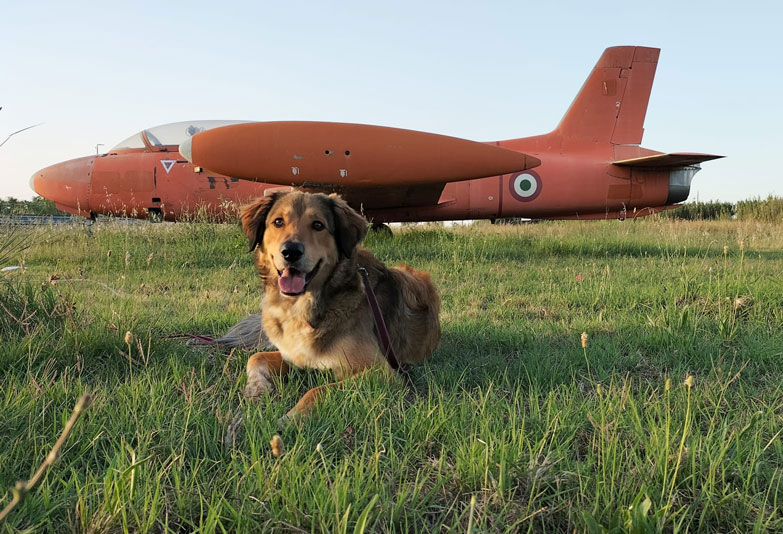 Ultravolo-4-ottimizzata